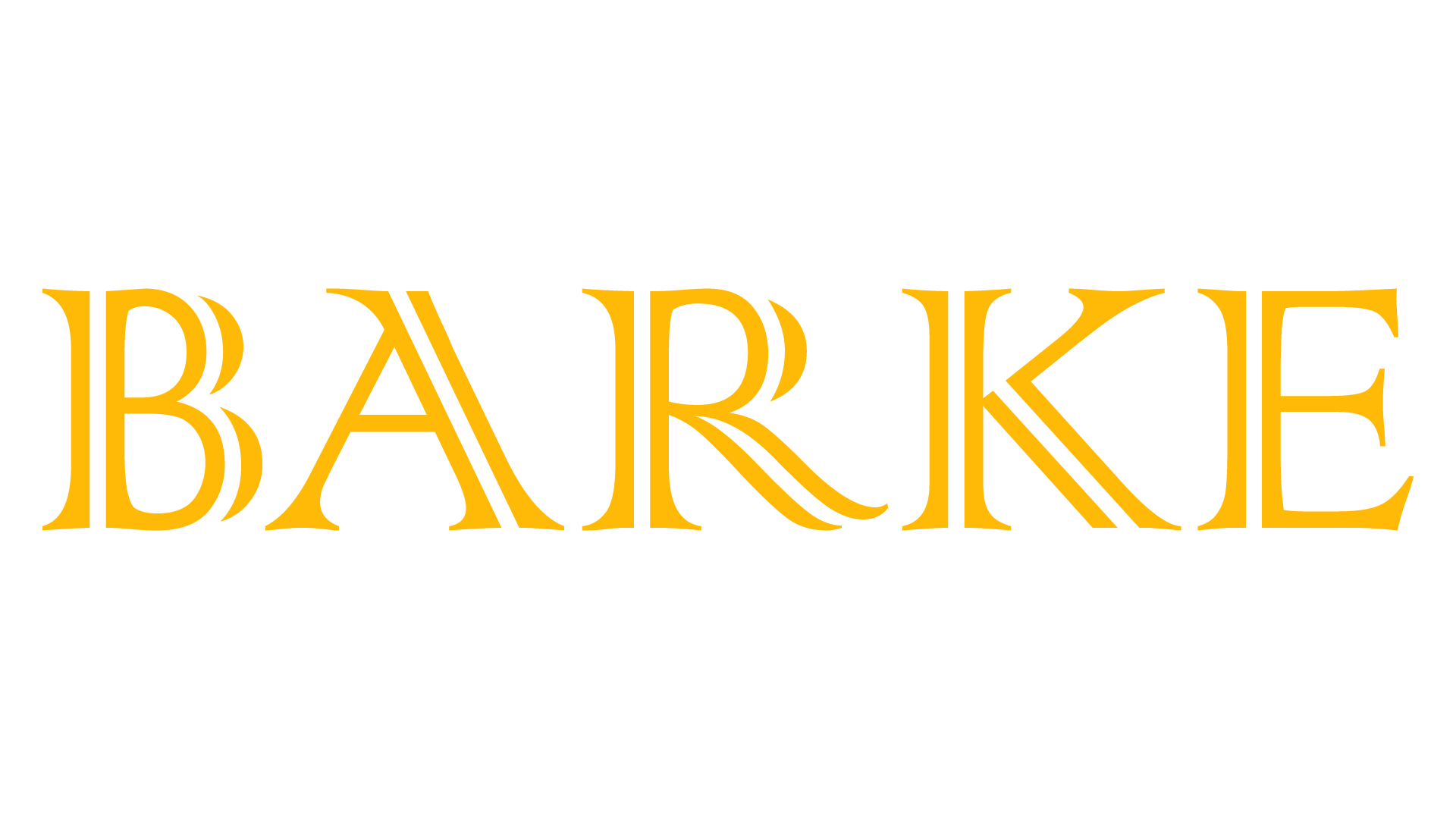 Barke S.A.S. - Sitio en construcción